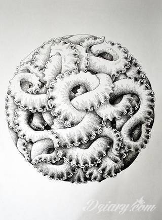 Tatuaż nie tylko dla miłośników morza i marynistyki. Ośmiornice na tatuażach przyjmują nadzwyczaj fantazyjne kształty, które zaskakują różnorodnością, a swoimi mackami ciekawie oplatają poszczególne fragmenty ludzkiego ciała. 