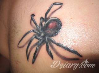 Tatuaże pająki