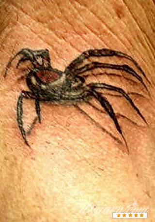 Tatuaże pająki