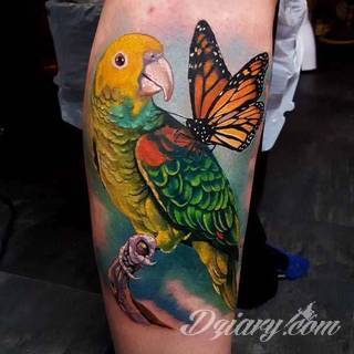 Tatuaże papuga