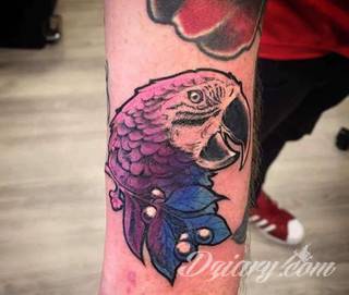 Tatuaże papuga