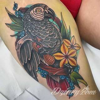 Tatuaże papuga