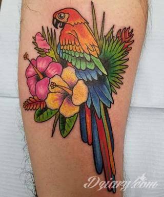 Tatuaże papuga
