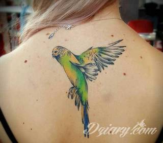 Tatuaże papuga