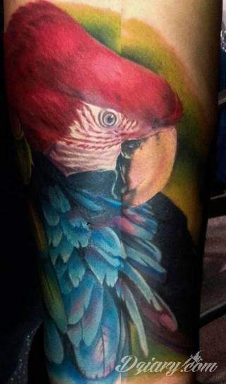 Tatuaże papuga