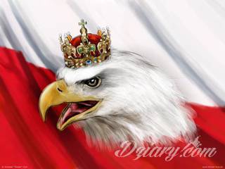 Modne tatuaże patriotyczne nawiązujące do chlubnej historii, wydarzeń z przeszłości czy podkreślające siłę i potencjał Polski. Nowoczesna forma podkreślenia swojego niesłabnącego patriotyzmu - coraz lepiej dostosowana formatami do obu płci. 