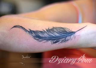 Wielkie możliwości aranżacji sprawiają, że wzór piór to kopalnia pomysłów na ciekawe tatuaże. Rysunki nawiązują w ten sposób zarówno do natury i swobody ptaków jak i historii - tworząc wzory niczym husaria lub indiańskie pióra z Dzikiego Zachodu. 