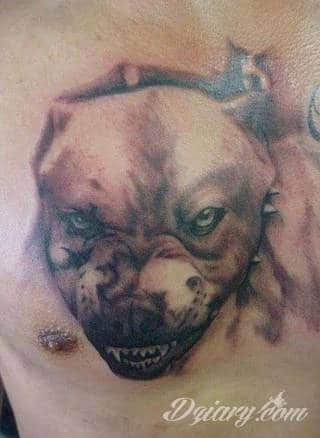 Tatuaże z psami to podkreślenie swojego przywiązania do danej rasy ;psie grafiki na skórze są zazwyczaj lekkie, nieco humorystyczne i okraszone często imieniem ulubionego zwierzęcia z przeszłości. W efekcie tatuaże z psami mogą stanowić idealną pamiątkę na lata. 
