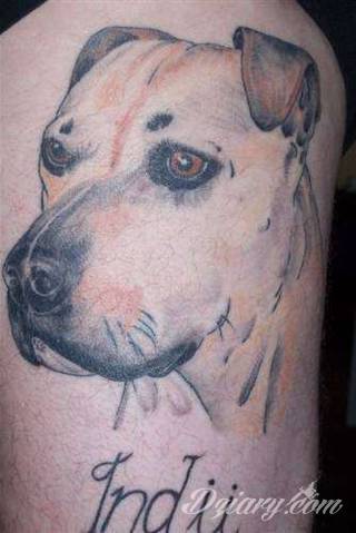 Tatuaże z psami to podkreślenie swojego przywiązania do danej rasy ;psie grafiki na skórze są zazwyczaj lekkie, nieco humorystyczne i okraszone często imieniem ulubionego zwierzęcia z przeszłości. W efekcie tatuaże z psami mogą stanowić idealną pamiątkę na lata. 