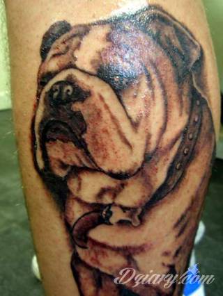 Tatuaże z psami to podkreślenie swojego przywiązania do danej rasy ;psie grafiki na skórze są zazwyczaj lekkie, nieco humorystyczne i okraszone często imieniem ulubionego zwierzęcia z przeszłości. W efekcie tatuaże z psami mogą stanowić idealną pamiątkę na lata. 