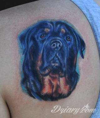 Tatuaże z psami to podkreślenie swojego przywiązania do danej rasy ;psie grafiki na skórze są zazwyczaj lekkie, nieco humorystyczne i okraszone często imieniem ulubionego zwierzęcia z przeszłości. W efekcie tatuaże z psami mogą stanowić idealną pamiątkę na lata. 