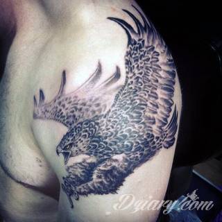 Swoboda, lekkość, unoszenie się gdzieś ponad ziemią - z tym kojarzą się tatuaże z ptakami. Sowy, jaskółki, groźne kondory - wszelkie ptaki są wdzięcznym motywem na rysunki. Szczególnie popularne są wzory tatuaży z ptakami na łopatkach. 