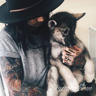 Niesamowite w swojej formie tatuaże-rękawy zajmują cała powierzchnię ramiona i przedramiona. Tworzą jednolitą zdobiącą ciało całość. Taki graficzny rękaw na skórze to tatuaż szczególnie ciekawy w przypadku aktywnych, silnych mężczyzn. 