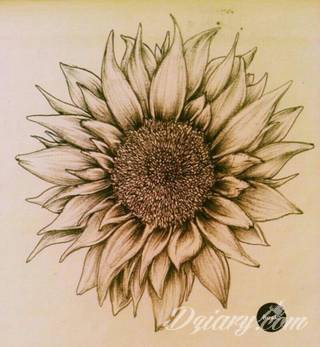 Niesamowite w swojej formie tatuaże-rękawy zajmują cała powierzchnię ramiona i przedramiona. Tworzą jednolitą zdobiącą ciało całość. Taki graficzny rękaw na skórze to tatuaż szczególnie ciekawy w przypadku aktywnych, silnych mężczyzn. 