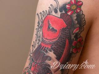 Tatuaże z rybą koi to symbolika dążenia - wytrwałego kierowania się w określoną stronę za wszelką cenę i niezależnie od okoliczności. Rysunki z rybą Koi to jednak również ogromna mnogość barw; tworzony w ten sposób karp staje się prawdziwie fantazyjną grafiką na ciele. 