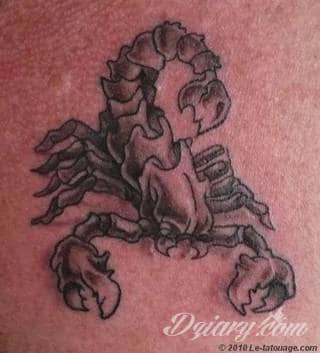 Tatuaże ze skorpionami są drapieżne, groźne, wizualnie niepokojące. Podkreślają mocne, męskie ciało, choć coraz chętniej z motywów skropiona korzystają również kobiety. Tatuaże zwracają uwagę bogatą kolekcją motywów - skorpion przybiera na nich różnorodną formę. 
