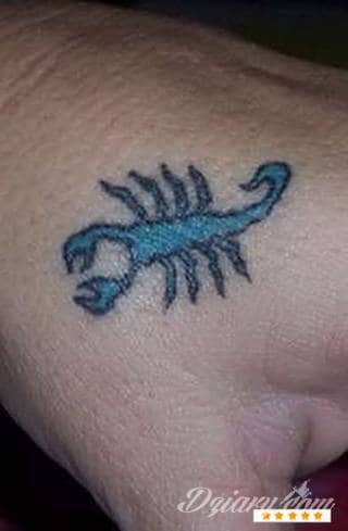 Tatuaże ze skorpionami są drapieżne, groźne, wizualnie niepokojące. Podkreślają mocne, męskie ciało, choć coraz chętniej z motywów skropiona korzystają również kobiety. Tatuaże zwracają uwagę bogatą kolekcją motywów - skorpion przybiera na nich różnorodną formę. 