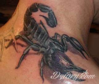 Tatuaże ze skorpionami są drapieżne, groźne, wizualnie niepokojące. Podkreślają mocne, męskie ciało, choć coraz chętniej z motywów skropiona korzystają również kobiety. Tatuaże zwracają uwagę bogatą kolekcją motywów - skorpion przybiera na nich różnorodną formę. 