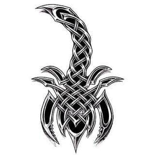 Tatuaże ze skorpionami są drapieżne, groźne, wizualnie niepokojące. Podkreślają mocne, męskie ciało, choć coraz chętniej z motywów skropiona korzystają również kobiety. Tatuaże zwracają uwagę bogatą kolekcją motywów - skorpion przybiera na nich różnorodną formę. 