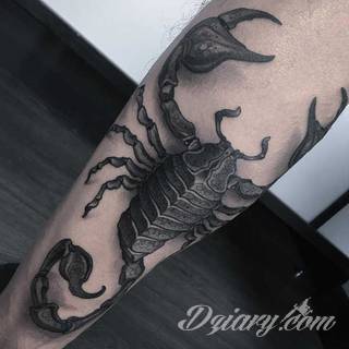 Tatuaże ze skorpionami są drapieżne, groźne, wizualnie niepokojące. Podkreślają mocne, męskie ciało, choć coraz chętniej z motywów skropiona korzystają również kobiety. Tatuaże zwracają uwagę bogatą kolekcją motywów - skorpion przybiera na nich różnorodną formę. 