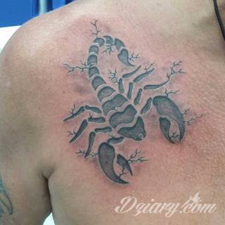 Tatuaże ze skorpionami są drapieżne, groźne, wizualnie niepokojące. Podkreślają mocne, męskie ciało, choć coraz chętniej z motywów skropiona korzystają również kobiety. Tatuaże zwracają uwagę bogatą kolekcją motywów - skorpion przybiera na nich różnorodną formę. 