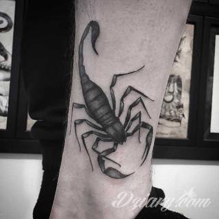 Tatuaże ze skorpionami są drapieżne, groźne, wizualnie niepokojące. Podkreślają mocne, męskie ciało, choć coraz chętniej z motywów skropiona korzystają również kobiety. Tatuaże zwracają uwagę bogatą kolekcją motywów - skorpion przybiera na nich różnorodną formę. 