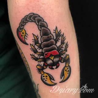 Tatuaże ze skorpionami są drapieżne, groźne, wizualnie niepokojące. Podkreślają mocne, męskie ciało, choć coraz chętniej z motywów skropiona korzystają również kobiety. Tatuaże zwracają uwagę bogatą kolekcją motywów - skorpion przybiera na nich różnorodną formę. 