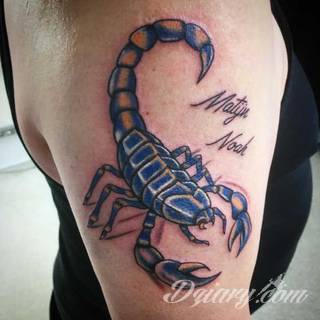 Tatuaże ze skorpionami są drapieżne, groźne, wizualnie niepokojące. Podkreślają mocne, męskie ciało, choć coraz chętniej z motywów skropiona korzystają również kobiety. Tatuaże zwracają uwagę bogatą kolekcją motywów - skorpion przybiera na nich różnorodną formę. 