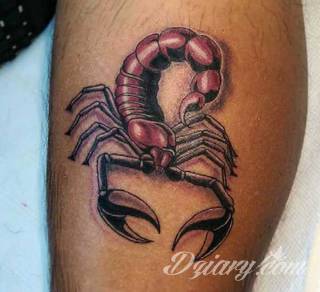 Tatuaże ze skorpionami są drapieżne, groźne, wizualnie niepokojące. Podkreślają mocne, męskie ciało, choć coraz chętniej z motywów skropiona korzystają również kobiety. Tatuaże zwracają uwagę bogatą kolekcją motywów - skorpion przybiera na nich różnorodną formę. 