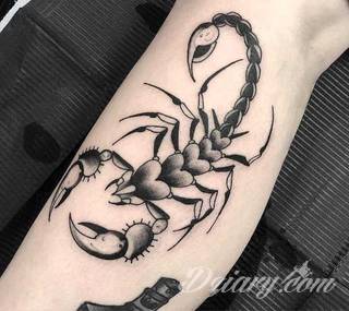 Tatuaże ze skorpionami są drapieżne, groźne, wizualnie niepokojące. Podkreślają mocne, męskie ciało, choć coraz chętniej z motywów skropiona korzystają również kobiety. Tatuaże zwracają uwagę bogatą kolekcją motywów - skorpion przybiera na nich różnorodną formę. 