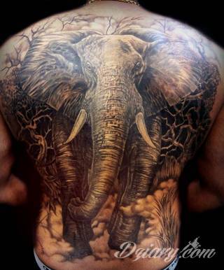 Siła, moc, wytrwałość - wszystko to symbolizują tatuaże ze wzorem słonia. Tego typu grafiki mają jednak dodatkowe znaczenie. Słoń na tatuażu symbolizuje również dążenie do szczęścia. Ciekawą opcją są grafiki, na których część słonia zostaje wkomponowana w ludzkie ciało. 