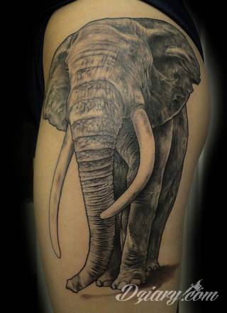 Siła, moc, wytrwałość - wszystko to symbolizują tatuaże ze wzorem słonia. Tego typu grafiki mają jednak dodatkowe znaczenie. Słoń na tatuażu symbolizuje również dążenie do szczęścia. Ciekawą opcją są grafiki, na których część słonia zostaje wkomponowana w ludzkie ciało. 