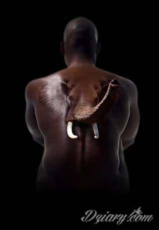 Siła, moc, wytrwałość - wszystko to symbolizują tatuaże ze wzorem słonia. Tego typu grafiki mają jednak dodatkowe znaczenie. Słoń na tatuażu symbolizuje również dążenie do szczęścia. Ciekawą opcją są grafiki, na których część słonia zostaje wkomponowana w ludzkie ciało. 