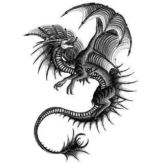Smok na skórze to od lat jeden z najpopularniejszych wzorów tatuaży. Grafiki stają się mini-dziełami sztuki. Tatuaże ze smokami są pełne detali - zarówno cienkiej kreski, jak i wielu zastosowanych kolorów. Tego rodzaju grafiki sprawdzają się przede wszystkim w opcji wielkoformatowej. 