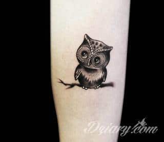 Tatuaże z sową symbolizują cierpliwość, wiedzę i inteligencję. Nie są, jakby mogło się wydawać, statyczne i wyłącznie melancholijne. Sowa szczególnie ciekawie wygląda na ramionach. Odpowiednio zarysowana, podkreśla charakterystyczną budowę szczególnie męskiego ciała. 