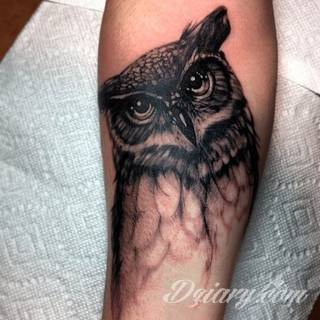 Tatuaże z sową symbolizują cierpliwość, wiedzę i inteligencję. Nie są, jakby mogło się wydawać, statyczne i wyłącznie melancholijne. Sowa szczególnie ciekawie wygląda na ramionach. Odpowiednio zarysowana, podkreśla charakterystyczną budowę szczególnie męskiego ciała. 