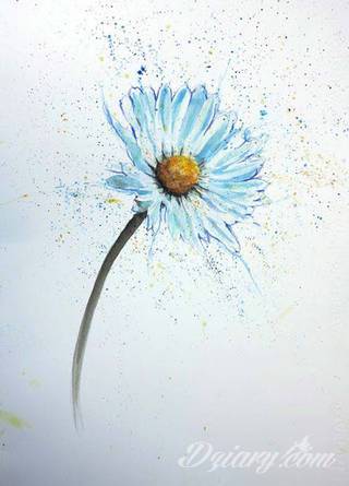 Kwiaty to jeden z najchętniej stosowanych wzorów tatuaży. Stokrotki - dzięki swojej lekkości, subtelności i niewielkim rozmiarom - doskonale sprawdzają się jako wzór dla kobiet poszukujących niewielkiego, kwiecistego motywu na skórze. 