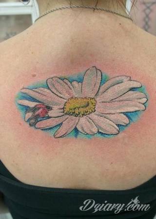 Kwiaty to jeden z najchętniej stosowanych wzorów tatuaży. Stokrotki - dzięki swojej lekkości, subtelności i niewielkim rozmiarom - doskonale sprawdzają się jako wzór dla kobiet poszukujących niewielkiego, kwiecistego motywu na skórze. 