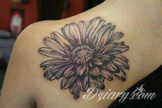 Kwiaty to jeden z najchętniej stosowanych wzorów tatuaży. Stokrotki - dzięki swojej lekkości, subtelności i niewielkim rozmiarom - doskonale sprawdzają się jako wzór dla kobiet poszukujących niewielkiego, kwiecistego motywu na skórze. 