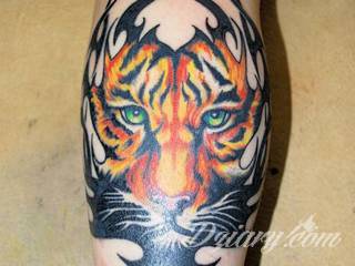 Tatuaże określane jako tribal to nawiązanie do plemiennych wierzeń maoryskich. Dziś oplatające ciała wzory to jeden z uniwersalnych motywów dostosowanych nie tylko do ciała męskiego. Tribal wygląda intrygująco również na ciele kobiecym - np. na smukłych udach. 