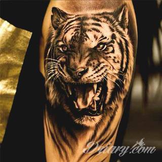 Energia, drapieżność, gotowość na wszystko - tygrys na skórze nie pozostawia złudzeń co do charakteru właściciela. Tatuaże z tygrysem zaskakują czasami różnorodnością. Drapieżniki to nie tylko sam wyszczerzony łeb; chętnie stawia się też na całe sylwetki np. w ruchu. 