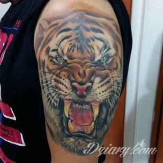 Energia, drapieżność, gotowość na wszystko - tygrys na skórze nie pozostawia złudzeń co do charakteru właściciela. Tatuaże z tygrysem zaskakują czasami różnorodnością. Drapieżniki to nie tylko sam wyszczerzony łeb; chętnie stawia się też na całe sylwetki np. w ruchu. 