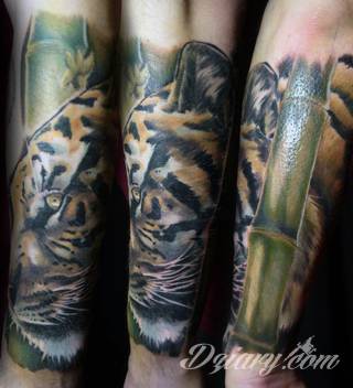 Energia, drapieżność, gotowość na wszystko - tygrys na skórze nie pozostawia złudzeń co do charakteru właściciela. Tatuaże z tygrysem zaskakują czasami różnorodnością. Drapieżniki to nie tylko sam wyszczerzony łeb; chętnie stawia się też na całe sylwetki np. w ruchu. 