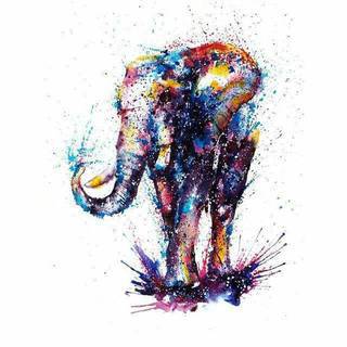 Akwarelowe tatuaże watercolor stanowią intrygujące połączenie unikatowych wzorów i rozbudowanej kolorystyki. Kreska jest w nich rozmyta; tworzą intrygujący efekt graficzny farby swobodnie przelewanej na skórze. 