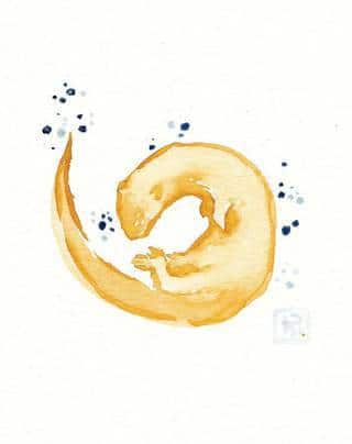 Akwarelowe tatuaże watercolor stanowią intrygujące połączenie unikatowych wzorów i rozbudowanej kolorystyki. Kreska jest w nich rozmyta; tworzą intrygujący efekt graficzny farby swobodnie przelewanej na skórze. 