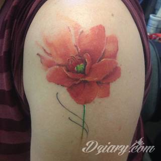 Akwarelowe tatuaże watercolor stanowią intrygujące połączenie unikatowych wzorów i rozbudowanej kolorystyki. Kreska jest w nich rozmyta; tworzą intrygujący efekt graficzny farby swobodnie przelewanej na skórze. 