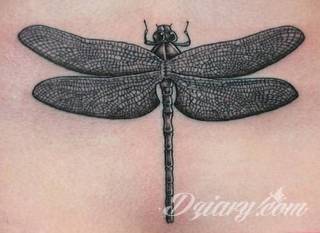 Motyw ważki na tatuażu nadaje ciału lekkości. Podkreśla ulotną chwilę, a jednocześnie daje duże możliwości aranżacji. Tatuaże z ważką pozwalają bowiem na zastosowanie wszelkich kolorów dostosowanych do konkretnych oczekiwań. 