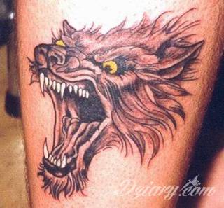 Wilk na tatuażu kojarzy się z niebezpieczeństwem. Starannie nakreślony pysk drapieżników, na ciele staje się konkretnym symbolem. Duże możliwości daje zastosowanie wilczych tatuaży na różnych fragmentach ciała. 