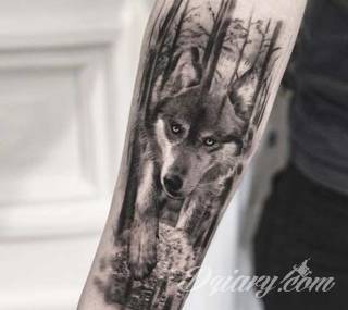 Wilk na tatuażu kojarzy się z niebezpieczeństwem. Starannie nakreślony pysk drapieżników, na ciele staje się konkretnym symbolem. Duże możliwości daje zastosowanie wilczych tatuaży na różnych fragmentach ciała. 