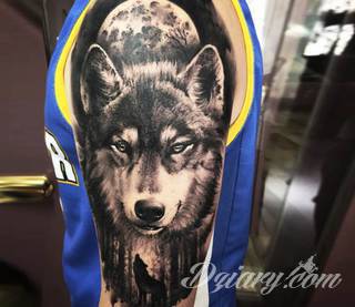 Wilk na tatuażu kojarzy się z niebezpieczeństwem. Starannie nakreślony pysk drapieżników, na ciele staje się konkretnym symbolem. Duże możliwości daje zastosowanie wilczych tatuaży na różnych fragmentach ciała. 